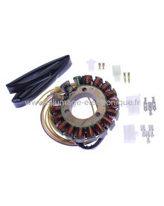 Stator Alternateur pour Suzuki DR250 et DR350 - G285