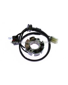 Stator allumage pour Suzuki RMZ250, RMZ450F - ST2475