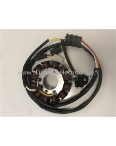 Stator Yamaha WR250F, WR450F (2003-2006) - G136 