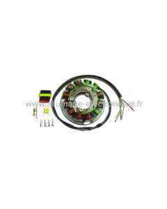 Alternateur - Stator - Allumage Gas Gas TXT Pro 300cc - G701